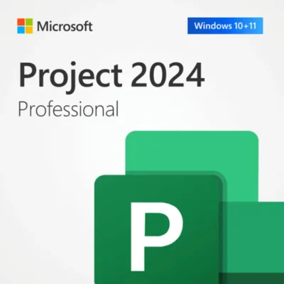 Project Professional 2024 MS Account