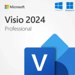 Visio Professional 2024 MS Account