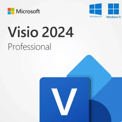 Visio Professional 2024 MS Account
